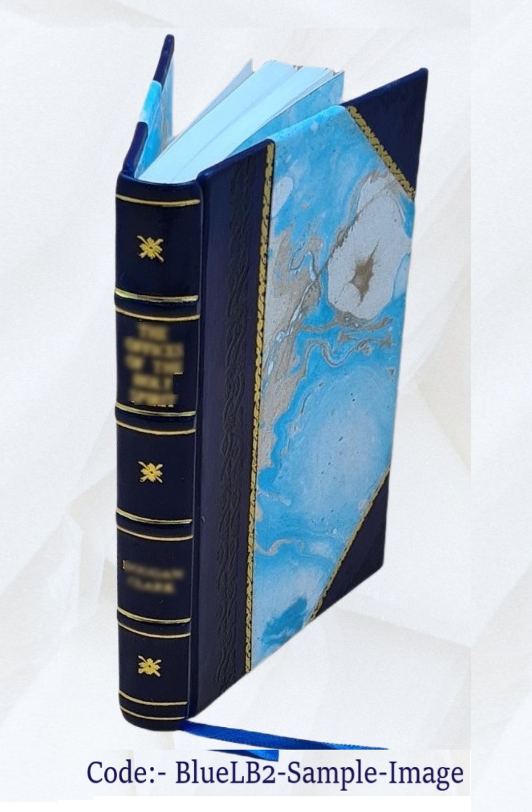 Our Lady Of Lourdes 1906 By Lasserre, Henri [Leather Bound]