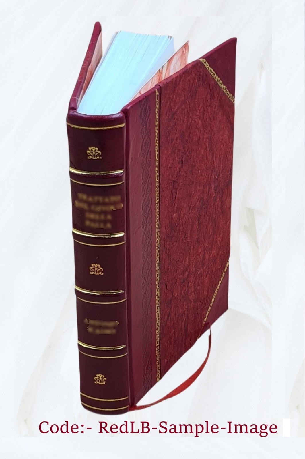 Our Lady Of Lourdes 1906 By Lasserre, Henri [Leather Bound]