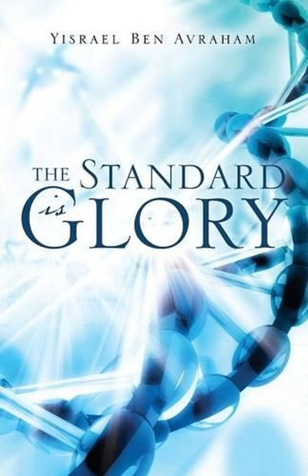 The Standard is Glory by Yisrael Ben Avraham (English) Paperback Book