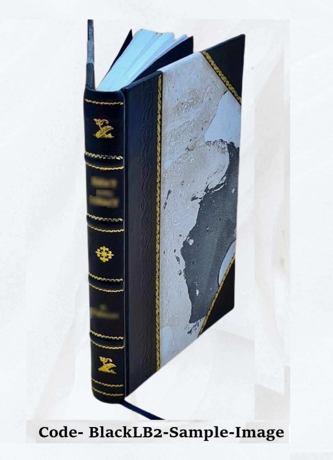 Our Lady Of Lourdes 1906 By Lasserre, Henri [Leather Bound]