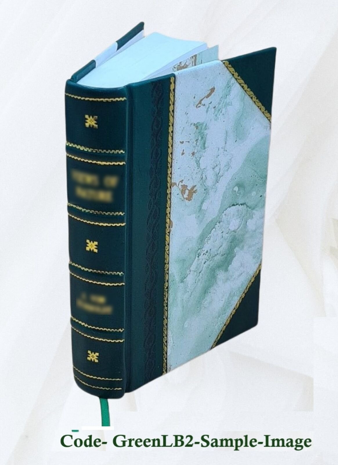 The Myth Of The Twentieth Century 1930 by Alfred Rosenberg [Leather Bound]