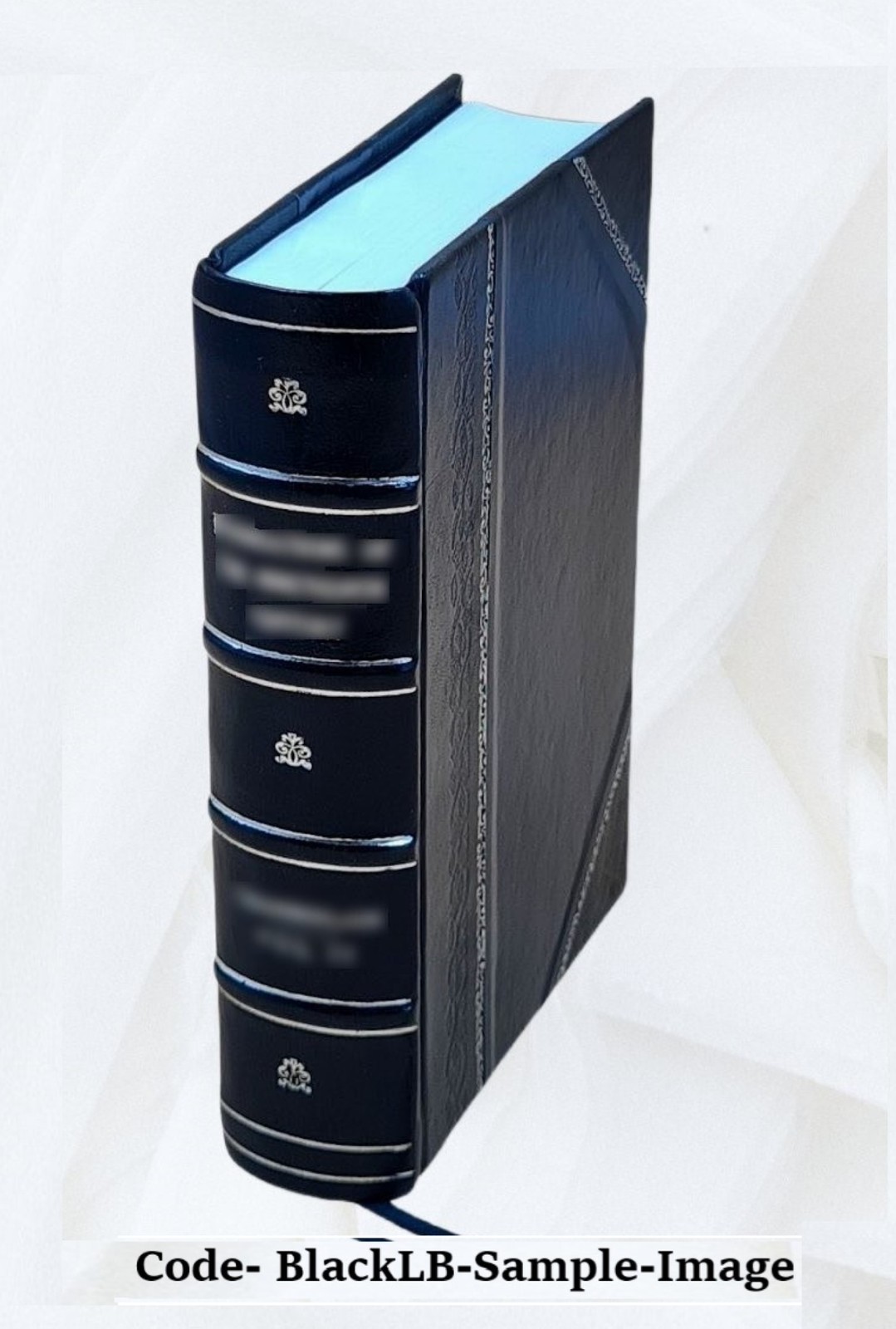 Teutonic Mythology Vol. I Volume 1 1882 By Jacob Grimm [Leather Bound]