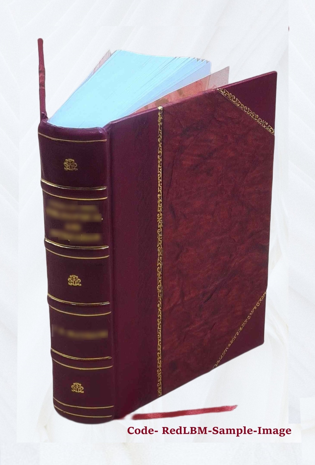 Principles of medicine: comprising general pathology and therape [Leather Bound]