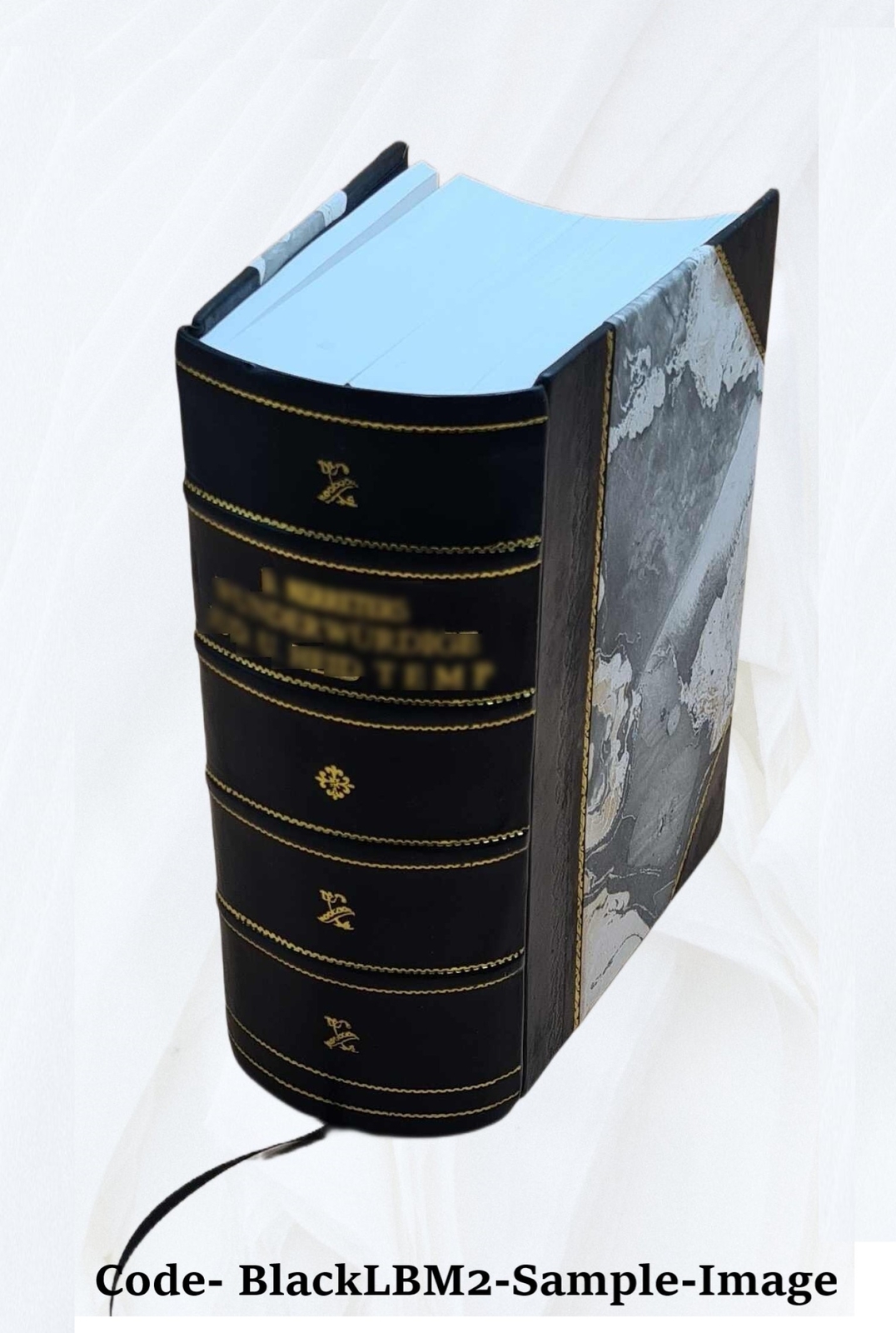 Principles of medicine: comprising general pathology and therape [Leather Bound]