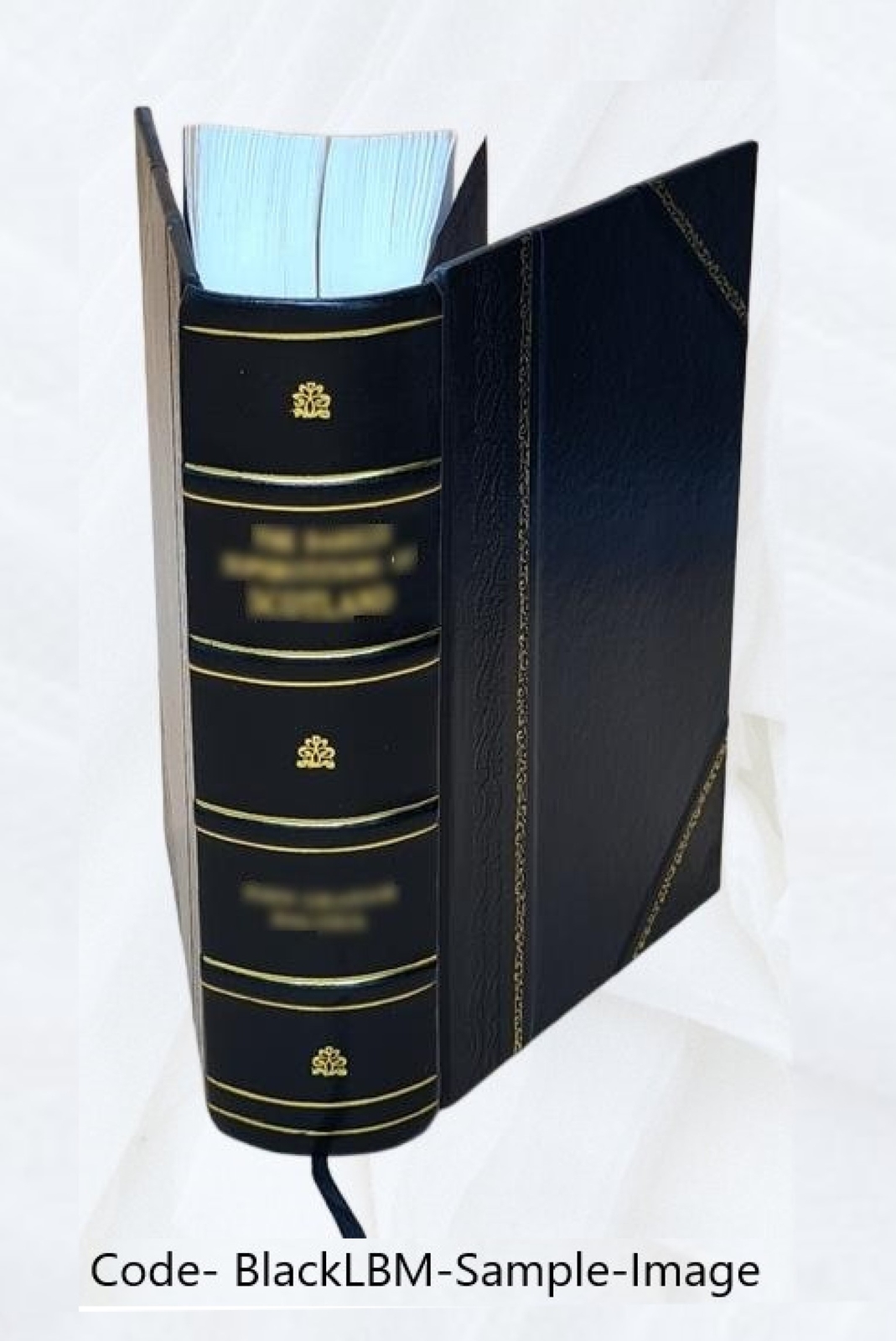 Principles of medicine: comprising general pathology and therape [Leather Bound]
