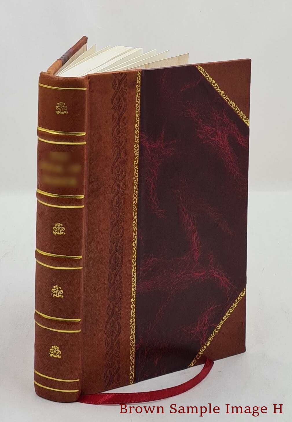 Our Lady Of Lourdes 1906 By Lasserre, Henri [Leather Bound]
