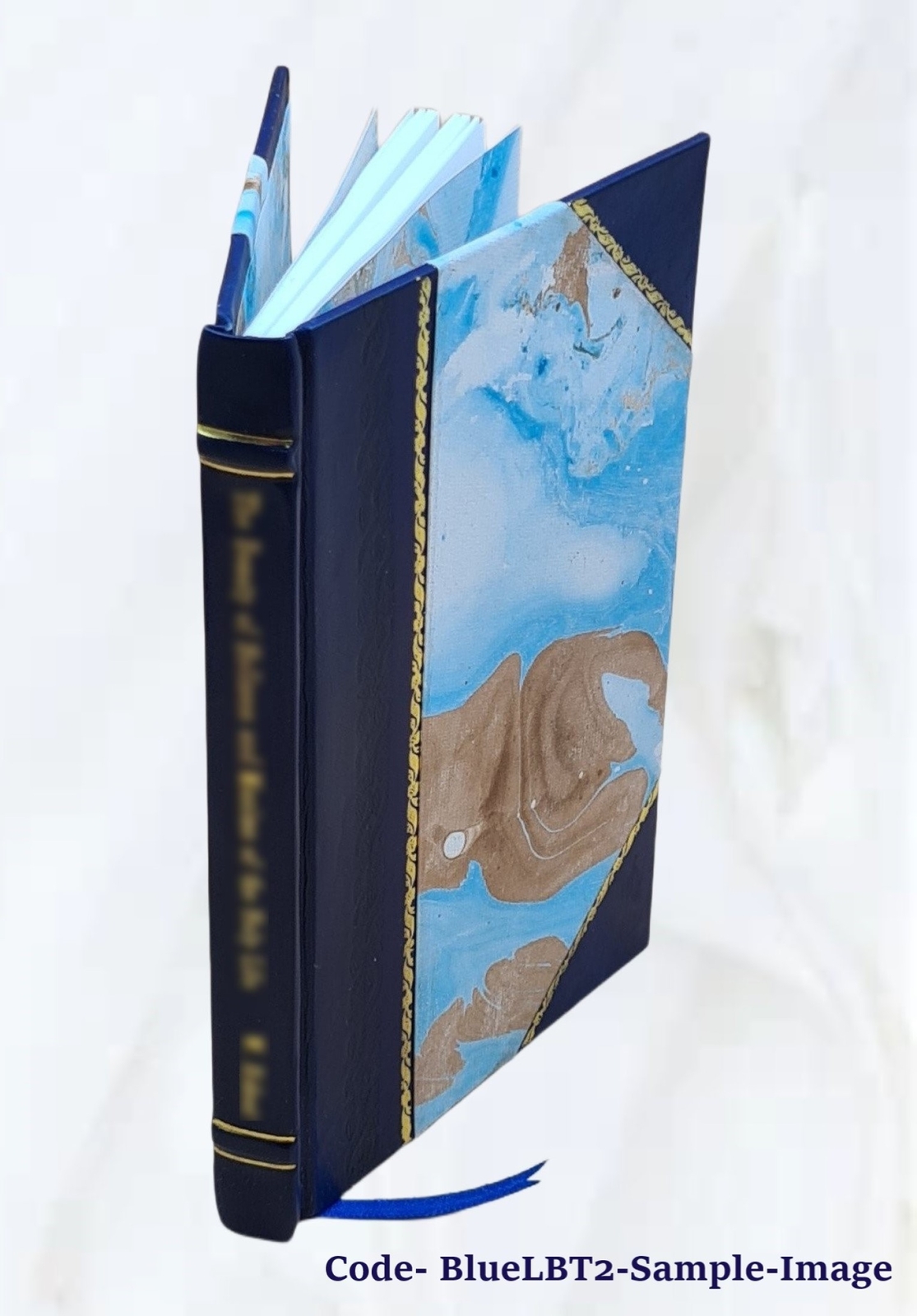 Independent or democratic church government : The divinely appoi [Leather Bound]