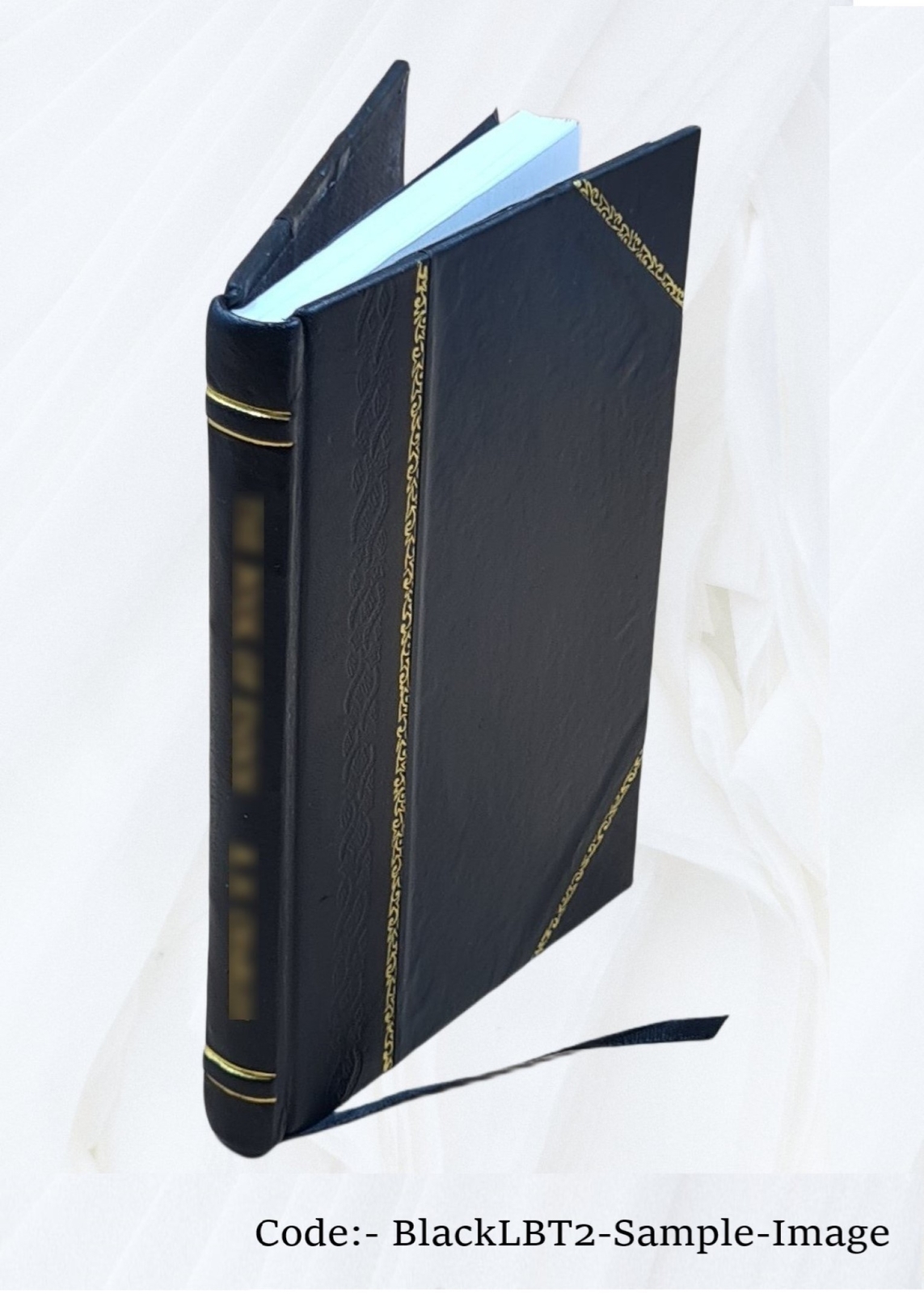 Independent or democratic church government : The divinely appoi [Leather Bound]